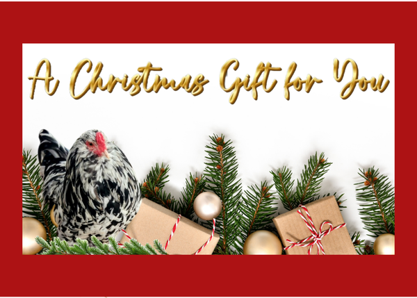 Gift certificate 25 dollars