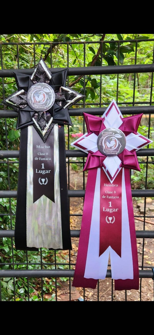 4in Rosette Ribbon