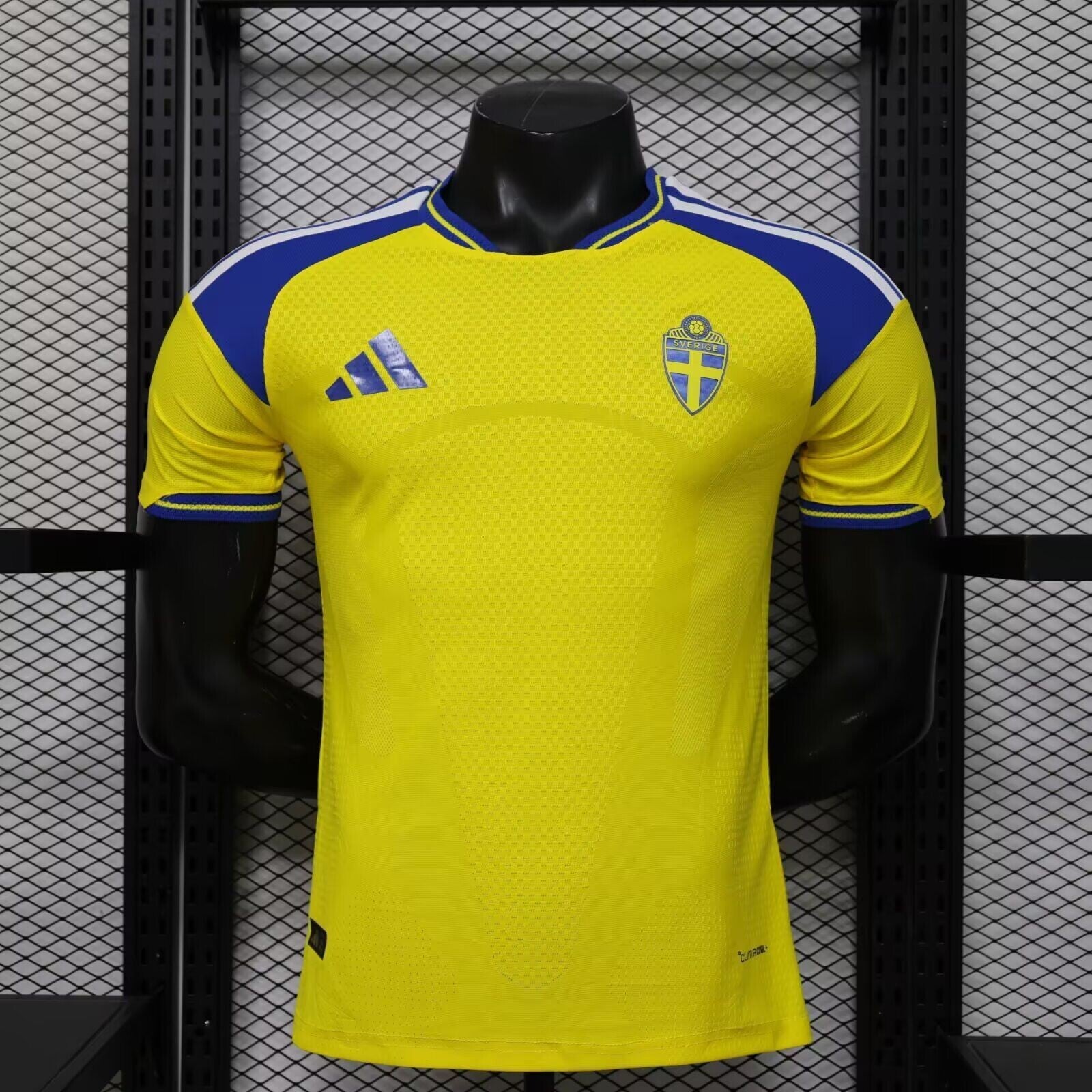 Sweden home player version 26/27