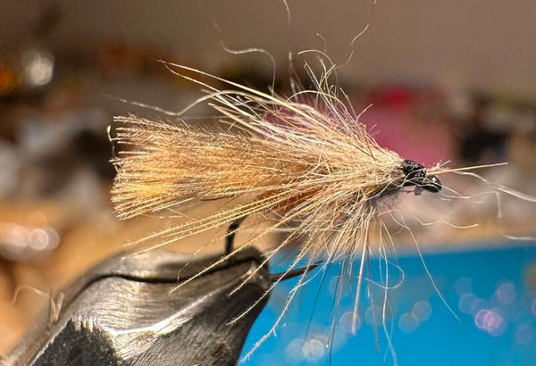 Sedge bécasse