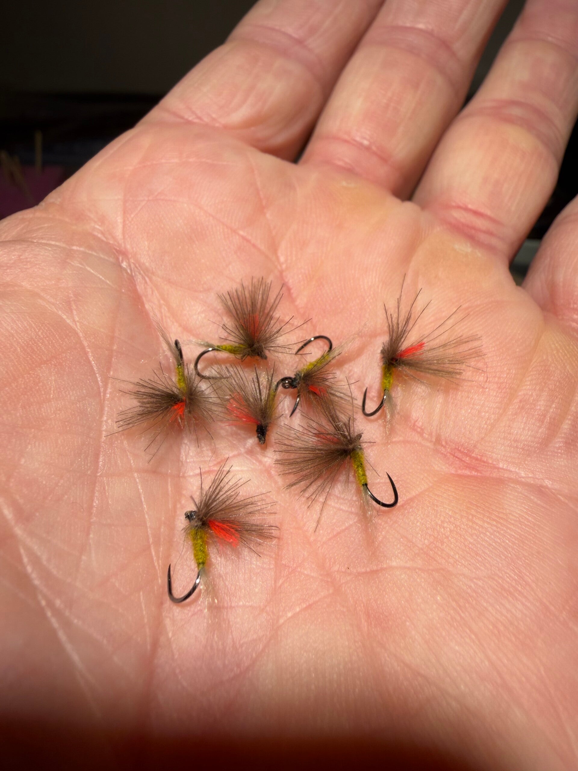 Mouche olive 286 en h18