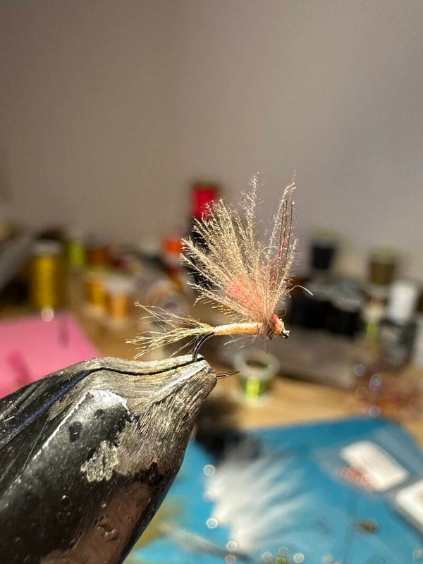 Mouche sèche carne en hameçon 20