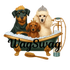 Wag Swag Mobile Grooming