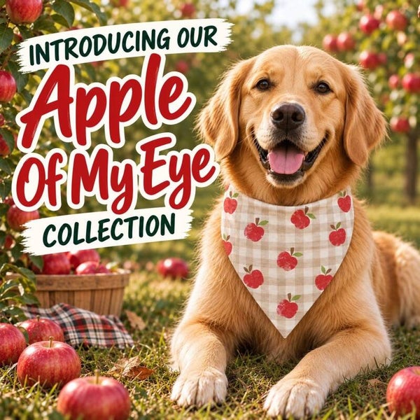 Griffy & Drake Apple of My Eye Collection