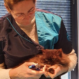 nagelsknippenvankat.jpeg