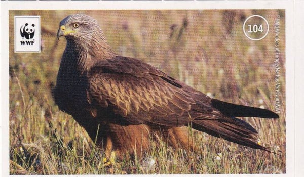 WWF / Unser Wald / Nr. 104