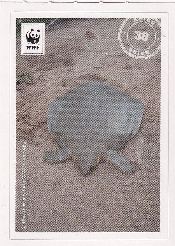 WWF / Mit 180 Sticker um die Welt / Asien / Nr. 38