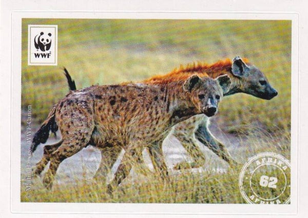WWF / Mit 180 Sticker um die Welt / Afrika / Nr. 62