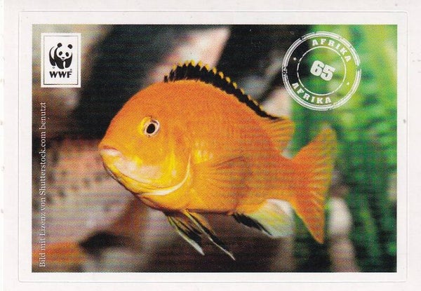 WWF / Mit 180 Sticker um die Welt / Afrika / Nr. 65
