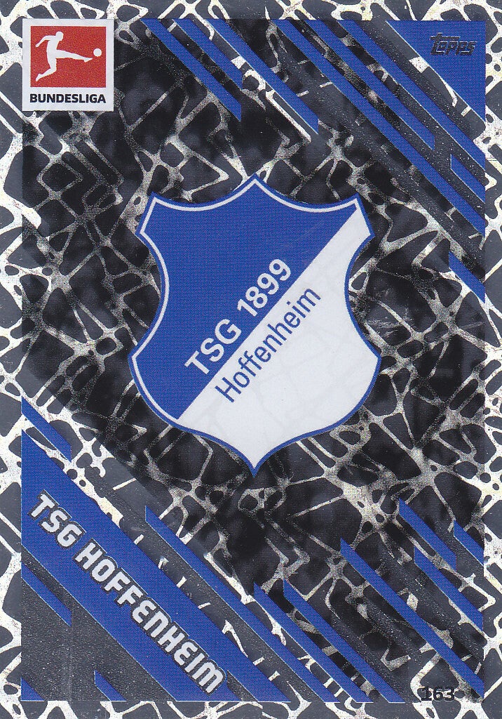 TSG Hoffenheim Vereinslogo 2022 Nr.163