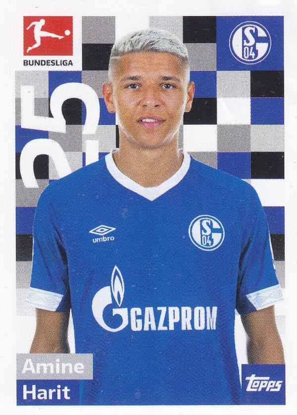 Amine Harit FC Schalke 04 Basis Bild Nr.239