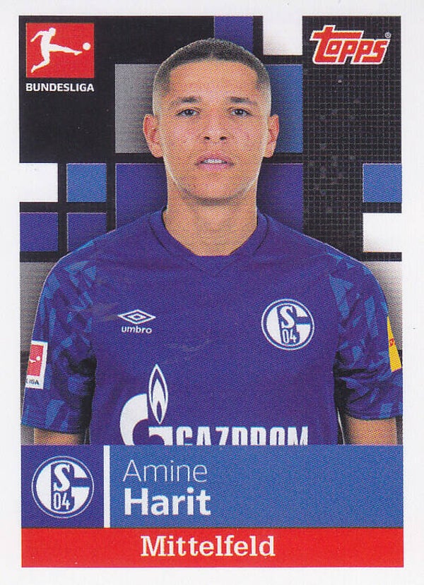 Amine Harit