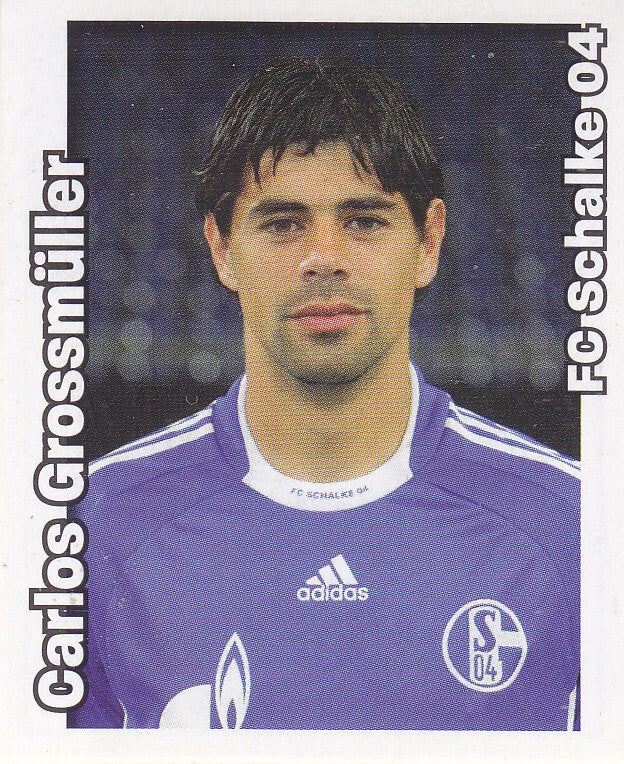 Carlos Grossmüller / FC Schalke 04 / Panini Bundesliga 2008 / Nr.426
