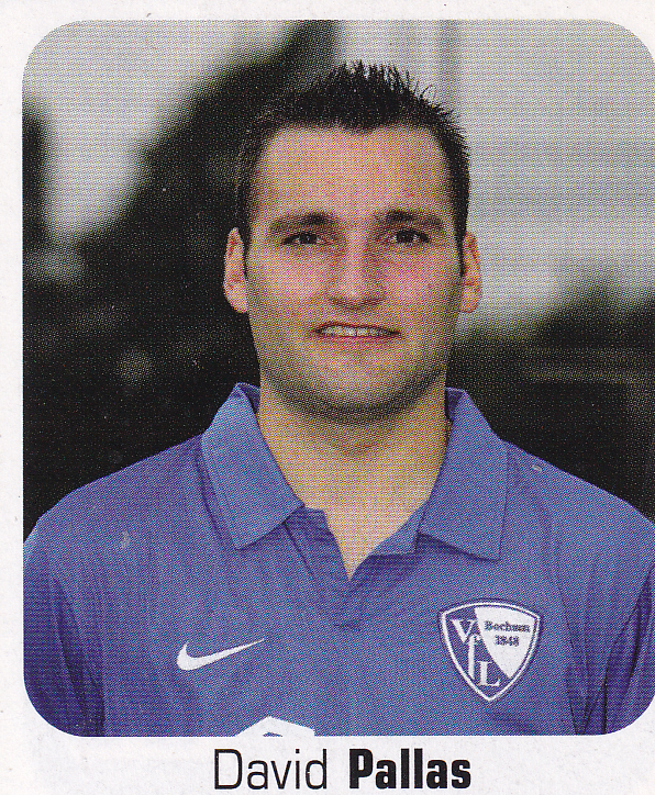 David Pallas - VFL Bochum - Panini Bundesliga 2006 - Basis Bild - Nr. 101