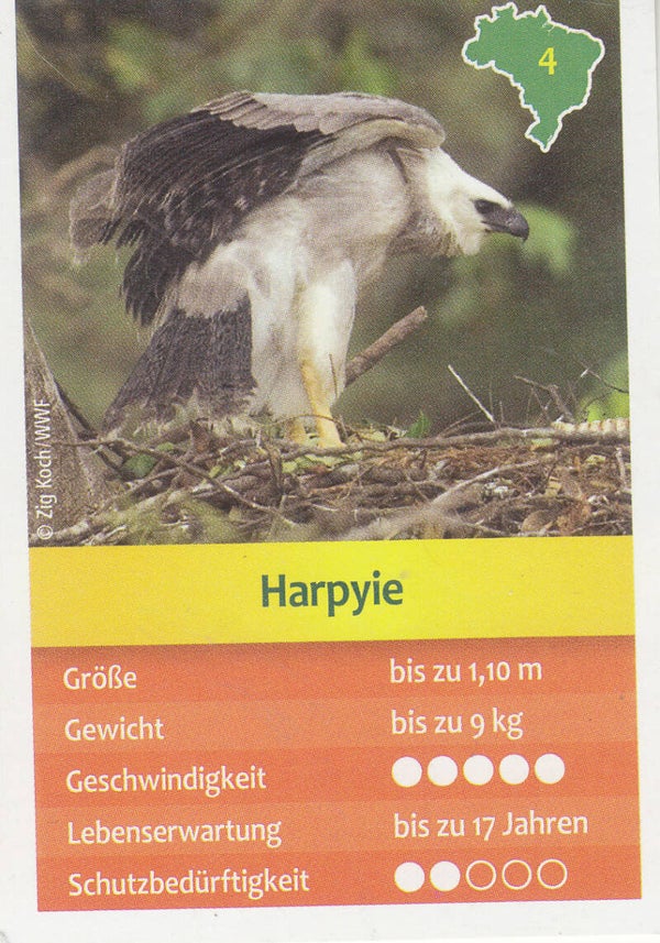 Harpyie / Entdecke Brasilien / Tierkarte / Nr.4