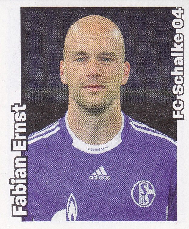 Fabian Ernst / FC Schalke 04 / Panini Bundesliga 2008 / Basis Bild / Nr.425