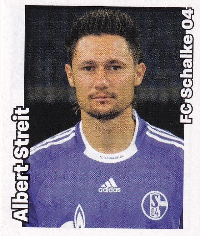 Albert Streit / FC Schalke 04 / Panini Bundesliga 2008 / Basis Bild / Nr. 430