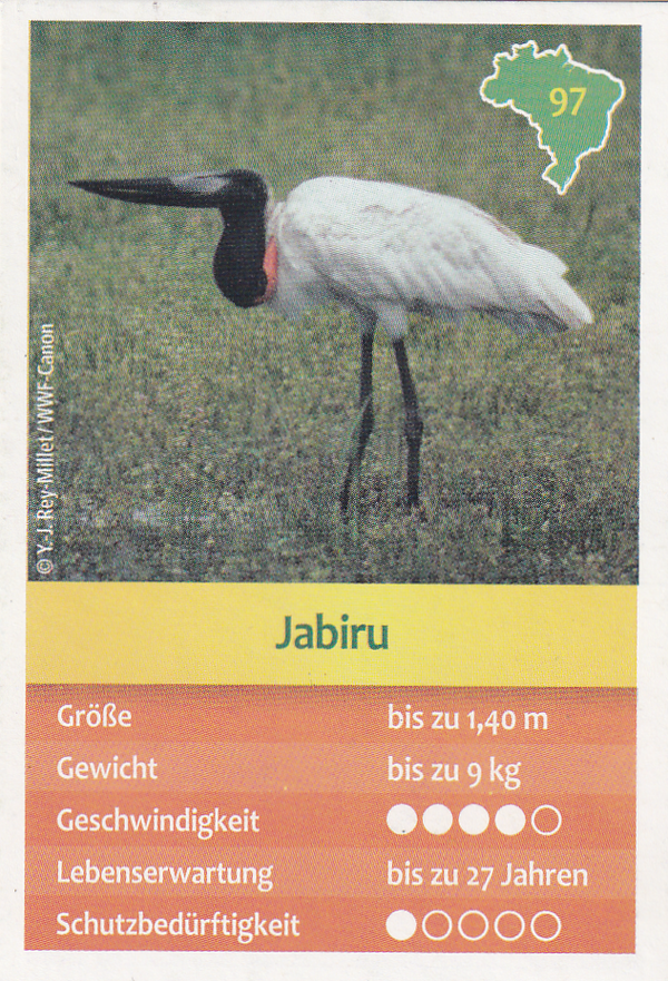 Jabiru - Entdecke Brasilien - Tierkarte - Nr. 97