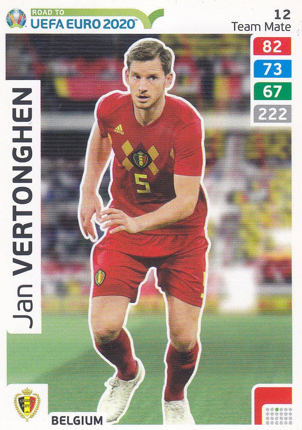 Jan Vertonghen / Belgien / Panini Road to Uefa Euro 2020 / Team Mate / Nr.12