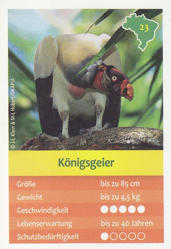 Königsgeier / Entdecke Brasilien / Tierkarte / Nr.23