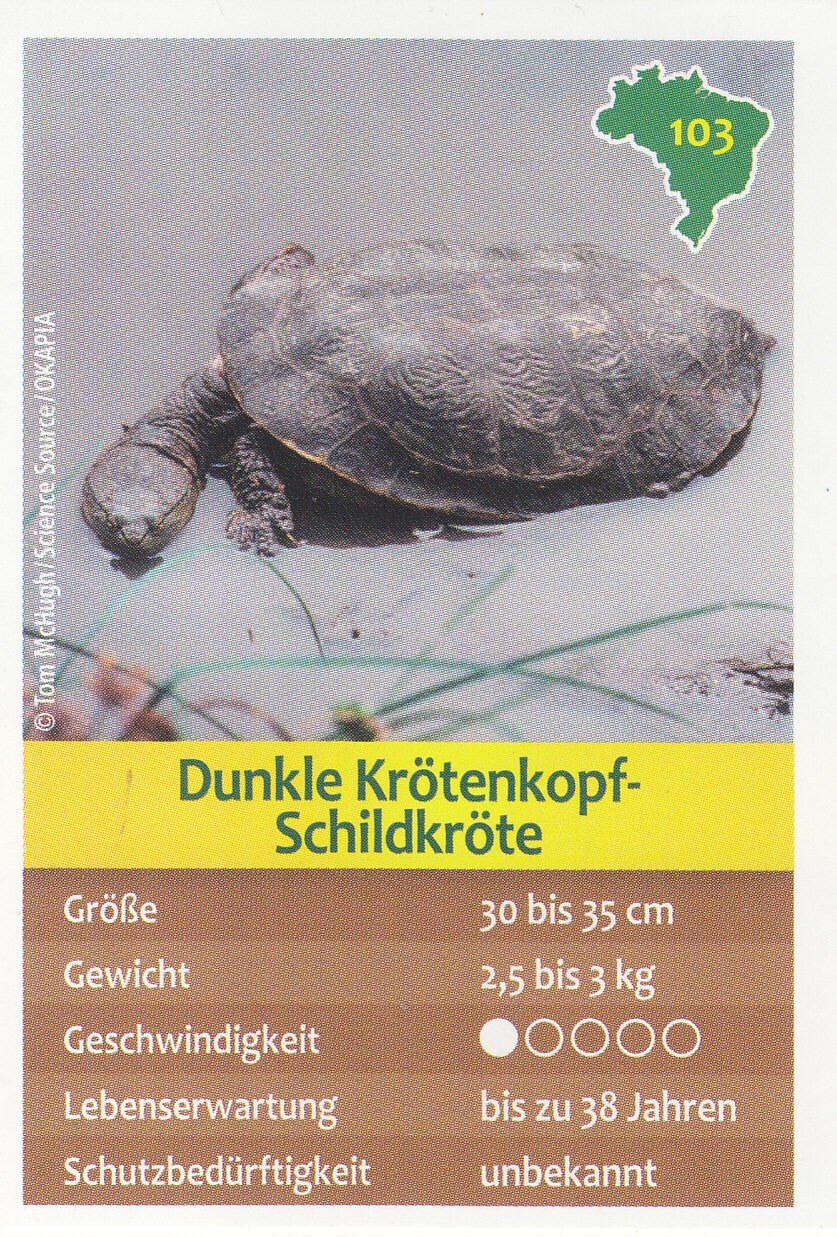 Dunkle Krötenkopf Schildkröte - Entdecke Brasilien - Tierkarte - Nr. 103