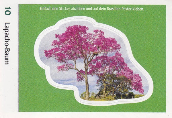 Lapacho-Baum - Entdecke Brasilien - Konturen Karte - Nr. 10