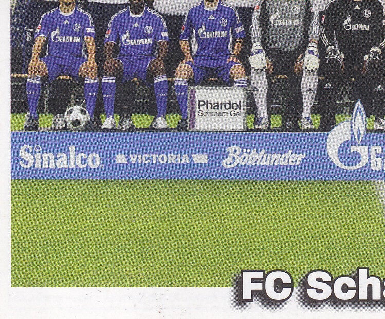 FC Schalke 04 / Panini Bundesliga 2008 / Mannschaftsbild 3 / Nr.413