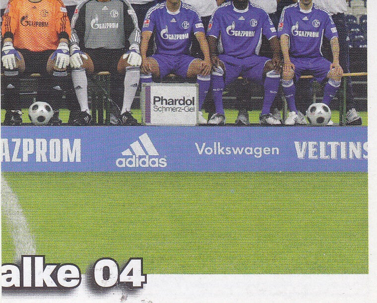 FC Schalke 04 / Panini Bundesliga 2008 / Mannschaftbild 4 / Nr.414