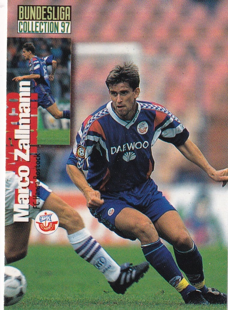 Marco Zallmann / FC Hansa Rostock / Panini Bundesliga 1997 / Basis Karte / Nr. 70