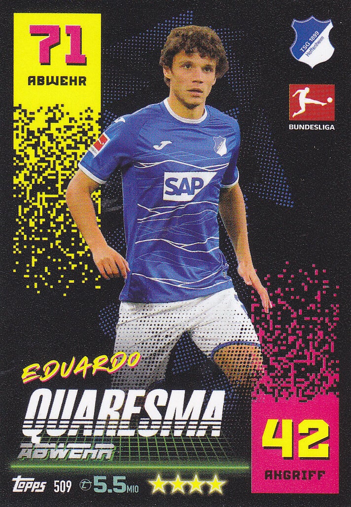 Eduardo Quaresma TSG Hoffenheim Basis Karte Nr.509