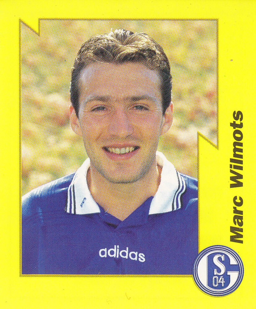 Marc Wilmots