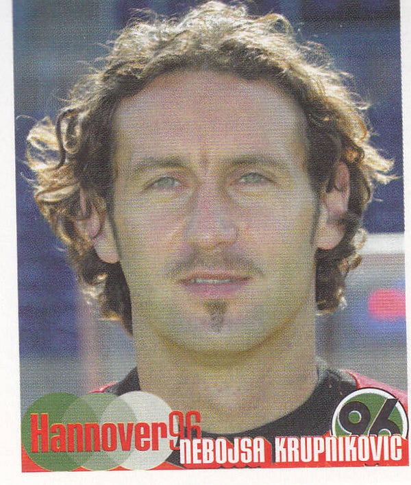 Nebojsa Krupnikovic Hannover 96