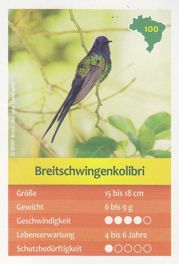 Breitschwingenkolibri / Tierkarte / Nr.100
