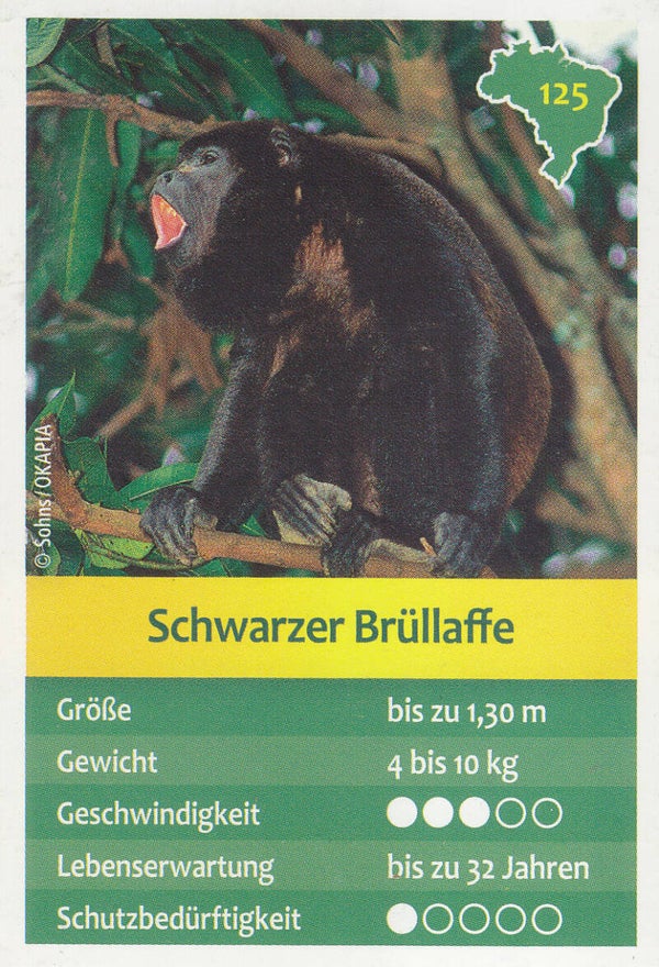 Nr.125 Schwarzer Brüllaffe