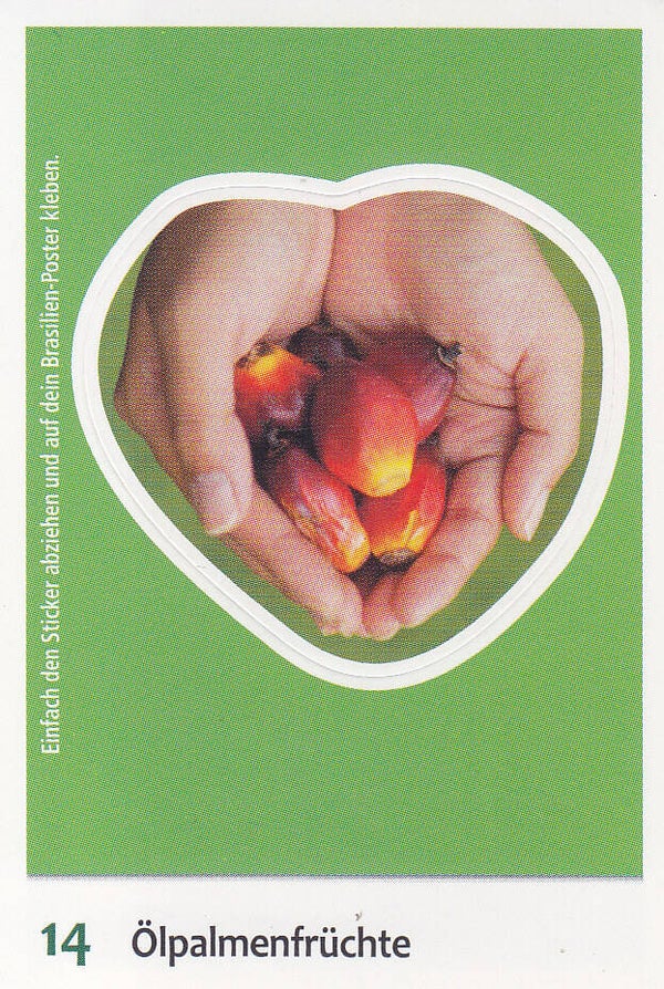 Ölpalmenfrüchte