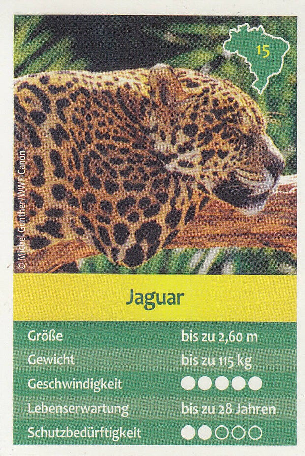 Jaguar
