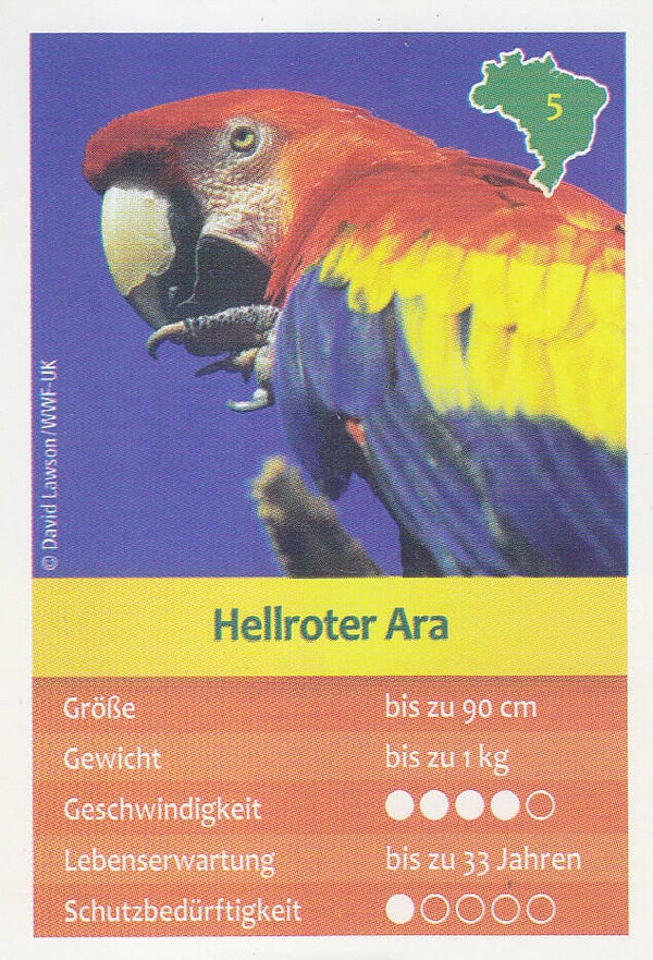Hellroter ARA / Entdecke Brasilien / Tierkarte / Nr. 5