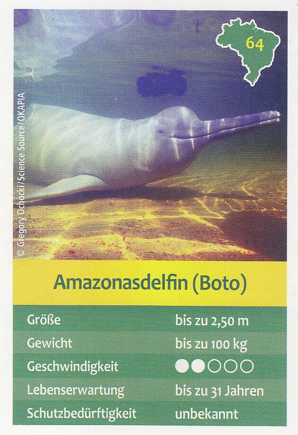 Nr.64 Amazonas Delphin