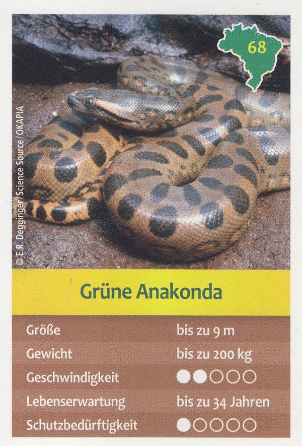 Grüne Anakonda / Tierkarte / Nr.68