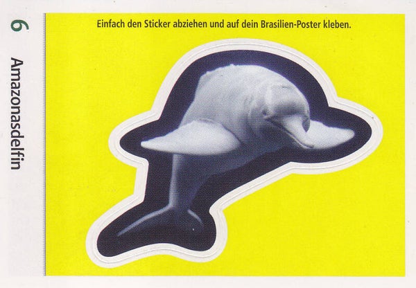Amazonasdelfin / Entdecke Brasilien / Konturenkarte Nr.6