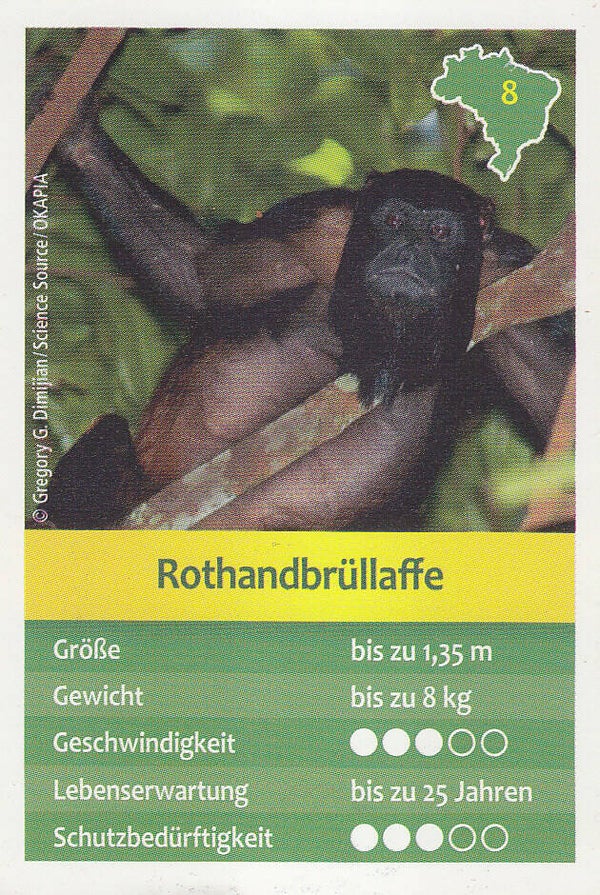 Rothandbrüllaffe / Entdecke Brasilien / Tier Karte / Nr. 8