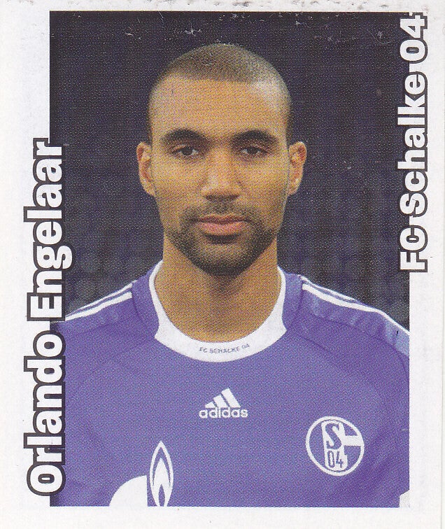 Orlando Engelaar / FC Schalke 04 / Panini Bundesliga 2008 / Basis Bild / Nr.424