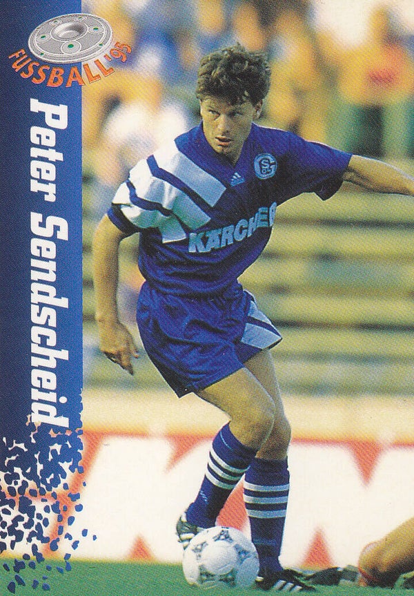 Peter Sendscheid / FC Schalke 04 / Panini Bundesliga 1995 / Basis Karte / Nr. 169