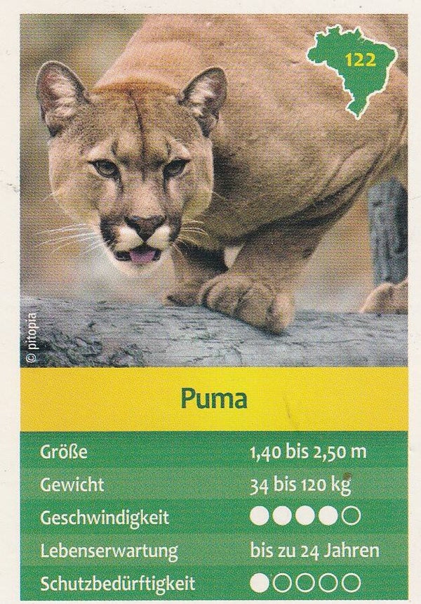 Puma / Entdecke Brasilien / Tierkarte / Nr. 122