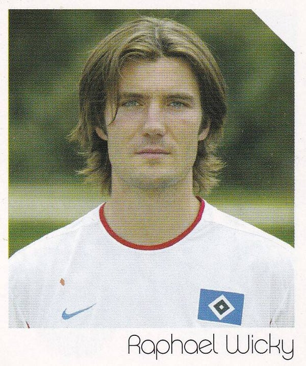 Raphael Wicky / Hamburger SV / Panini Bundesliga 2003 / Basis Bild / Nr. 213
