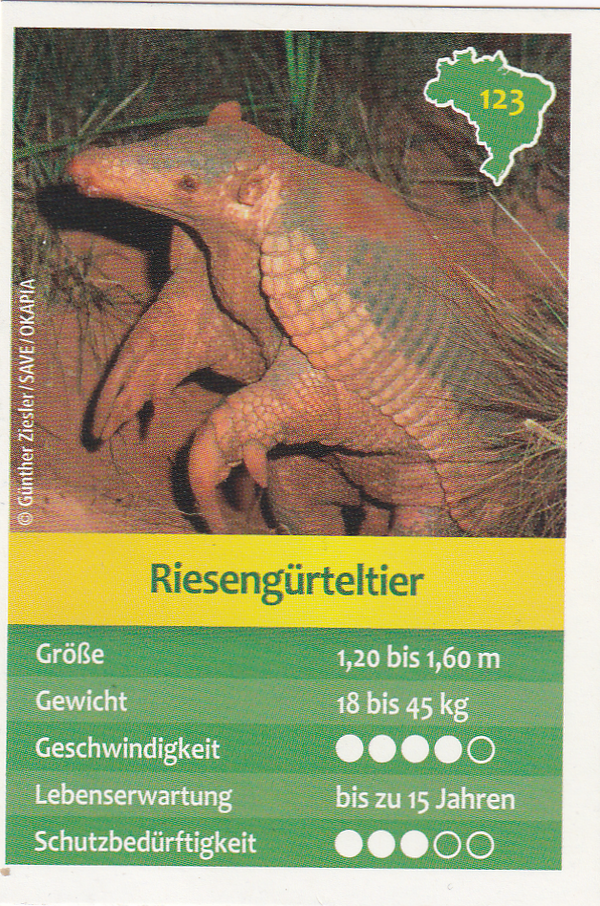 Riesengürteltier - Entdecke Brasilien - Tierkarte - Nr. 123