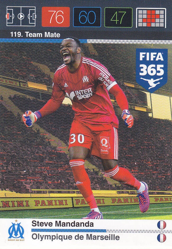 Nr.119 Steve Mandanda