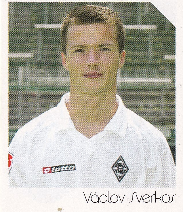Vaclav Sverkos / Borussa Mönchengladbach / Panini Bundesliga 2003 / Basis Bild / Nr. 351