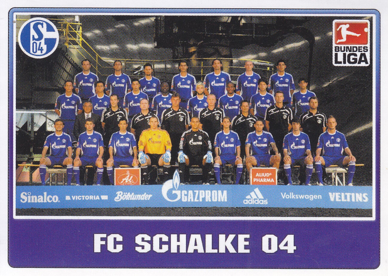 FC Schalke 04 / Topps Bundesliga 2009 / Mannschaftsbild / Nr.356