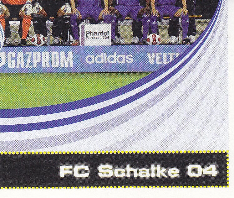 FC Schalke 04 Mannschaftsbild 4 / 2007 Nr.418